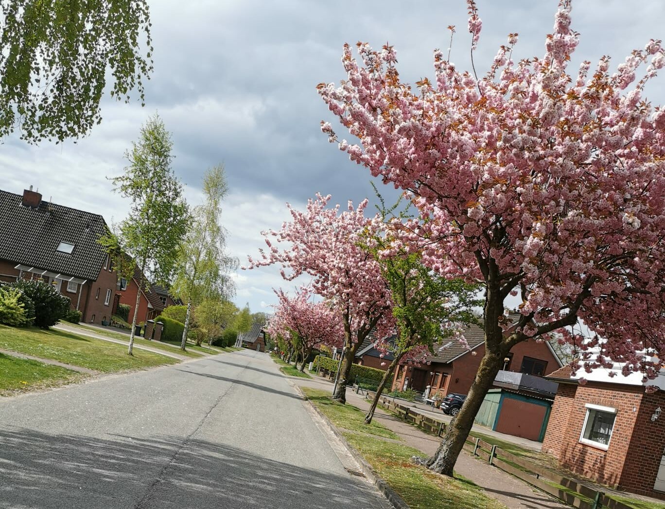 Frühling Rüstjer Straße